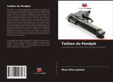 Portada del libro de Taliban du Pendjab