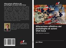 Обложка Allocazione effettiva del portafoglio di azioni USA-Ceca