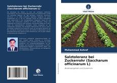 Обложка Salztoleranz bei Zuckerrohr (Saccharum officinarum L)