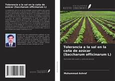 Borítókép a  Tolerancia a la sal en la caña de azúcar (Saccharum officinarum L) - hoz