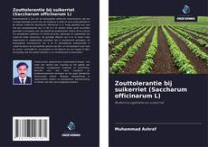 Bookcover of Zouttolerantie bij suikerriet (Saccharum officinarum L)