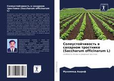 Couverture de Солеустойчивость в сахарном тростнике (Saccharum officinarum L)