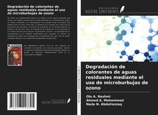 Portada del libro de Degradación de colorantes de aguas residuales mediante el uso de microburbujas de ozono