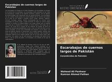 Borítókép a  Escarabajos de cuernos largos de Pakistán - hoz