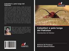 Portada del libro de Coleotteri a pelo lungo del Pakistan