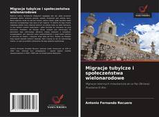 Copertina di Migracje tubylcze i społeczeństwa wielonarodowe