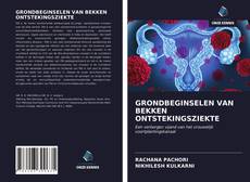 Portada del libro de GRONDBEGINSELEN VAN BEKKEN ONTSTEKINGSZIEKTE
