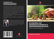 ECONOMIA DO DESENVOLVIMENTO E EMPREENDEDORISMO:的封面