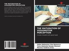 THE MATURATION OF VISUOMOTOR PERCEPTION的封面