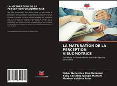 LA MATURATION DE LA PERCEPTION VISUOMOTRICE的封面