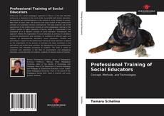 Borítókép a  Professional Training of Social Educators - hoz