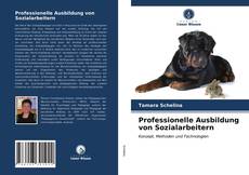 Обложка Professionelle Ausbildung von Sozialarbeitern