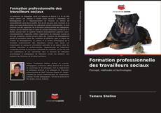 Couverture de Formation professionnelle des travailleurs sociaux