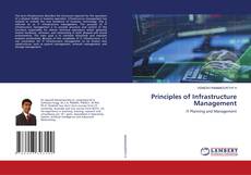 Copertina di Principles of Infrastructure Management