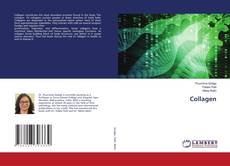 Buchcover von Collagen