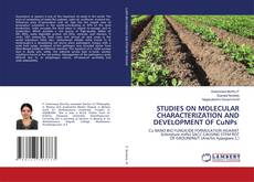 Buchcover von STUDIES ON MOLECULAR CHARACTERIZATION AND DEVELOPMENT OF CuNPs