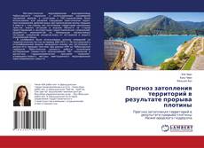 Copertina di Прогноз затопления территорий в результате прорыва плотины