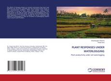 Copertina di PLANT RESPONSES UNDER WATERLOGGING