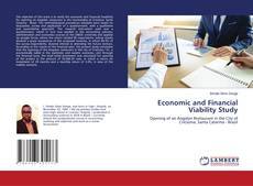 Copertina di Economic and Financial Viability Study