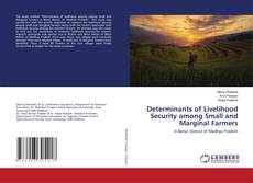 Copertina di Determinants of Livelihood Security among Small and Marginal Farmers