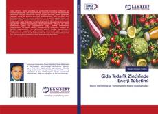 Copertina di Gida Tedari̇k Zi̇nci̇ri̇nde Enerji̇ Tüketi̇mi̇