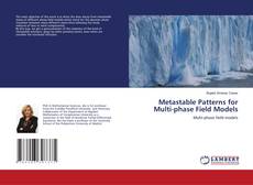 Copertina di Metastable Patterns for Multi-phase Field Models