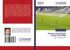 Copertina di Pompaj Tesi̇sleri̇nde Enerji̇ Veri̇mli̇li̇ği̇