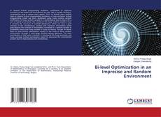 Copertina di Bi-level Optimization in an Imprecise and Random Environment
