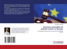 Copertina di Common principles of judicial review in Europe