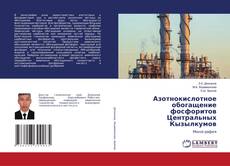 Copertina di Азотнокислотное обогащение фосфоритов Центральных Кызылкумов