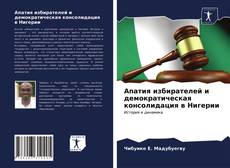 Bookcover of Апатия избирателей и демократическая консолидация в Нигерии