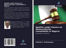 Buchcover von Apathie onder kiezers en democratische consolidatie in Nigeria