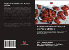 Bookcover of Productivité et efficacité de l'eau utilisée