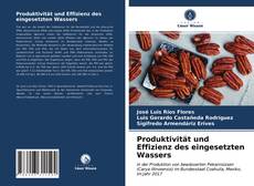 Couverture de Produktivität und Effizienz des eingesetzten Wassers