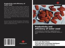 Borítókép a  Productivity and efficiency of water used - hoz