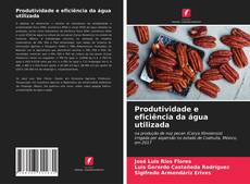 Capa do livro de Produtividade e eficiência da água utilizada 