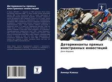 Bookcover of Детерминанты прямых иностранных инвестиций