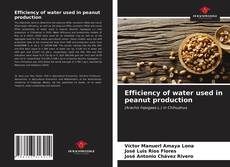 Portada del libro de Efficiency of water used in peanut production