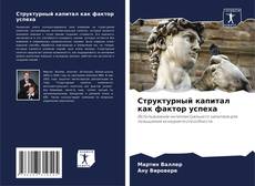 Bookcover of Структурный капитал как фактор успеха