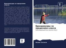 Bookcover of Брандмауэры за пределами класса