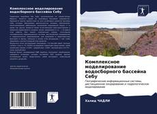 Комплексное моделирование водосборного бассейна Себу的封面