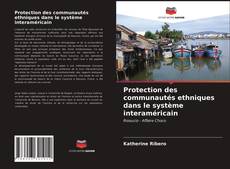 Protection des communautés ethniques dans le système interaméricain kitap kapağı