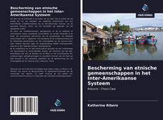 Portada del libro de Bescherming van etnische gemeenschappen in het Inter-Amerikaanse Systeem
