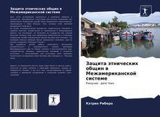 Bookcover of Защита этнических общин в Межамериканской системе