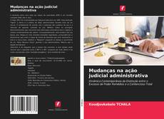 Copertina di Mudanças na ação judicial administrativa