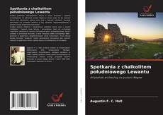 Portada del libro de Spotkania z chalkolitem południowego Lewantu