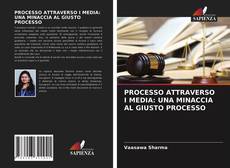 PROCESSO ATTRAVERSO I MEDIA: UNA MINACCIA AL GIUSTO PROCESSO kitap kapağı