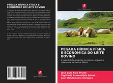 Copertina di PEGADA HÍDRICA FÍSICA E ECONÓMICA DO LEITE BOVINO