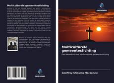 Bookcover of Multiculturele gemeentestichting