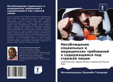 Bookcover of Несоблюдение социальных и медицинских требований к содержащимся под стражей лицам